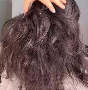 केस म्हणजे कोरडं रखरखीत शेपूट दिसतंय? कुंडीतली कोरफड ‘अशी' लावा, केस होतील चमकदार- गळणंही कमी