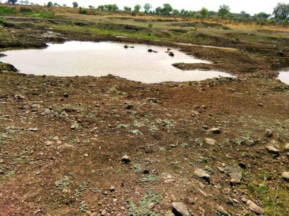 most of the lake in lonar taluka becomes dry! | लोणार तालुक्यातील जलाशयांनी गाठला तळ!