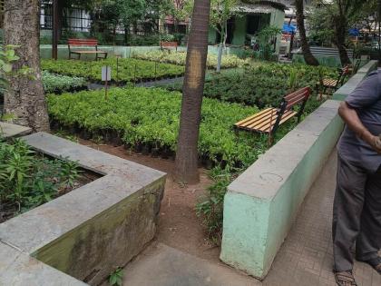 The tree from the nursery will be planted in the city | रोपवाटिकेतील झाडाची शहरात होणार लागवड