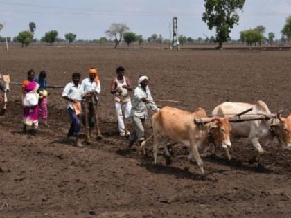 Farmers busy in sowing in Lonar taluka | लोणार तालुक्यात पेरणीची लगबग