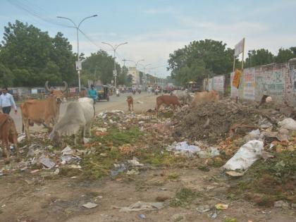 Fiasco of basic facilities during the festival days | ऐन सणासुदीच्या दिवसांत मूलभूत सुविधांची बोंबाबोंब