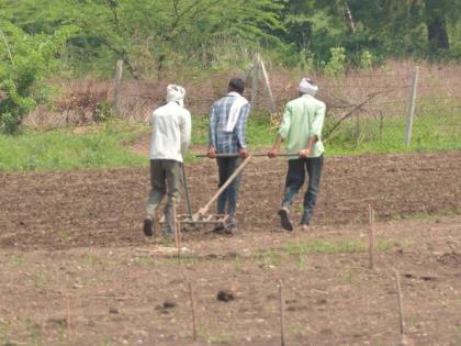 Loss in agriculture; Guaranteed price less than cultivation cost! | शेती झाली तोट्याची; हमी भाव कमी, लागवडीचा खर्च जास्त