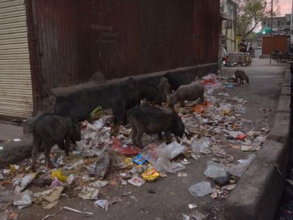 Scattering of 5 girls on cleaning of waste ward | पडीक प्रभागातील साफसफाईवर ५ काेटींची उधळण