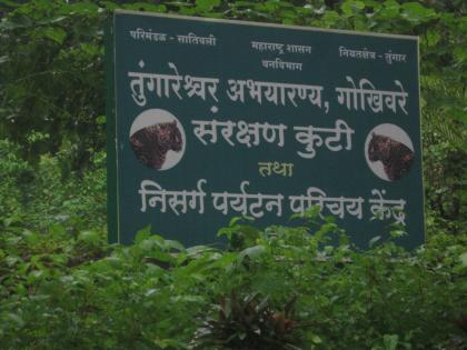 Tourists have to pay Jiziakar to visit the sanctuary at Tungareshwar | तुंगारेश्‍वर अभयारण्यात जाण्यासाठी पर्यटकांना द्यावा लागतो जिझियाकर 