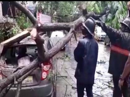 Heavy rain in Thane for next 3 hours; The Indian Meteorological Department predicts strong winds | ठाण्यात पुढील ३ तास मुसळधार पाऊस; वाऱ्याचा जोर वाढणार, भारतीय हवामान खात्याचा अंदाज