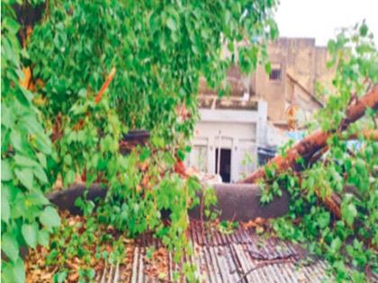 Pre-monsoon storm wreaks havoc; 4 killed, 41 livestock killed in lightning strike; Marathwada, North Maharashtra, West Maharashtra hit | मान्सूनपूर्व तडाख्याने दाणादाण; वीज कोसळून ४ ठार, ४१ पशुधन मृत्यूमुखी; मराठवाडा, उत्तर महाराष्ट्र, प. महाराष्ट्राला तडाखा Pre-monsoon storm wreaks havoc; 4 killed, 41 livestock killed in lightning strike; Marathwada, North Maharashtra, West Maharashtra hit | मान्सूनपूर्व तडाख्याने दाणादाण; वीज कोसळून ४ ठार, ४१ पशुधन मृत्यूमुखी; मराठवाडा, उत्तर महाराष्ट्र, प. महाराष्ट्राला तडाखा
