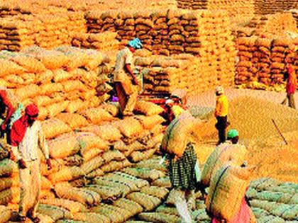 Grain stocks in the country for another nine months | आणखी नऊ महिने पुरेल इतका देशात धान्यसाठा