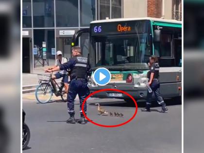 Police man stops traffic to allow duck family cross road heart touching video viral social media | Duck Family Viral Video: पोलिसांनी बदकाच्या पिलांसाठी थांबवली रस्त्यावरील वाहतूक; नेटकऱ्यांनी केला सलाम