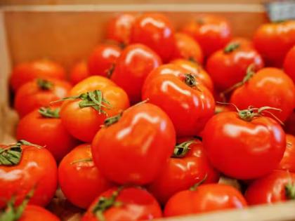  Due to the increase in the price of tomatoes in India, a post about ordering 10 kg of tomatoes from Dubai is going viral on social media   | ऐकावं ते नवलच! भारतात टोमॅटोचा 'भाव' वाढला; मग थेट दुबईवरून मागवलं १० किलोचं पार्सल