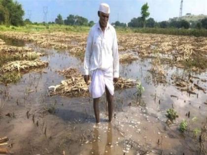  Due to the strike of the employees, the crop panchnama is getting delayed and the farmers are suffering losses | कर्मचाऱ्यांच्या संपामुळे पीक पंचनामे लांबणीवर; नुकसानग्रस्त शेतकरी वाऱ्यावर!