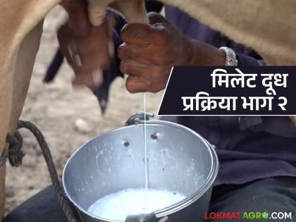 Latest news Millet Milk What is the process of making millet milk Understand the first four steps | Millet Milk : मिलेट मिल्क तयार करण्याची प्रक्रिया कशी असते? समजून घ्या पहिले चार टप्पे Latest news Millet Milk What is the process of making millet milk Understand the first four steps | Millet Milk : मिलेट मिल्क तयार करण्याची प्रक्रिया कशी असते? समजून घ्या पहिले चार टप्पे