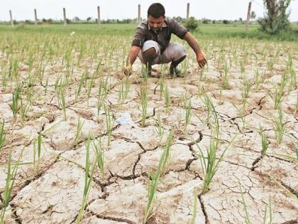 Maha Aghadi government will give loan waiver to farmers in two phases | महाआघाडी सरकार शेतकऱ्यांना दोन टप्प्यात देणार कर्जमाफी