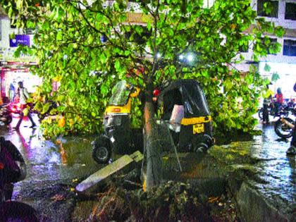 Heating in the afternoon, with a hail in the evening | दुपार तापदायक, सायंकाळी गारव्यासह जलधारा