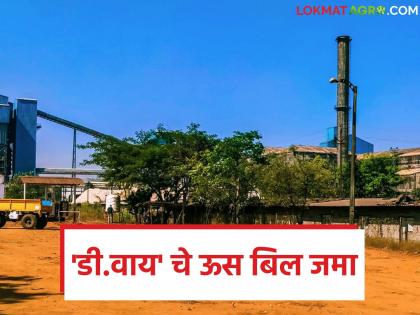 D.Y.Patil factory deposited sugarcane bills into account; How was the rate per ton paid between January 1 and 15? | डी.वाय.पाटील कारखान्याकडून ऊस बिले खात्यावर जमा; १ ते १५ जानेवारी दरम्यान प्रतिटन कसा दिला दर? D.Y.Patil factory deposited sugarcane bills into account; How was the rate per ton paid between January 1 and 15? | डी.वाय.पाटील कारखान्याकडून ऊस बिले खात्यावर जमा; १ ते १५ जानेवारी दरम्यान प्रतिटन कसा दिला दर?