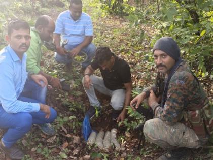 The ambush plan was foiled, the explosives buried in the ground by the Naxalites were seized | घातपाताचा डाव उधळला, नक्षल्यांनी जमिनीत पुरुन ठेवलेली स्फोटके जप्त