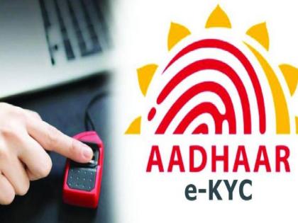 740 places to meet for ekyc seed processing | ई-केवायसी, बीज प्रक्रियेसाठी ७४० ठिकाणी मेळावे