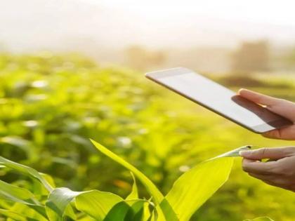 Register for e-Peak Inspection now till September 20; Six-day extension, average 40 percent registration | आता २० सप्टेंबरपर्यंत करा ई-पीक पाहणी नोंदणी; सहा दिवसांची मुदतवाढ, सरासरी ४० टक्के नोंदणी Register for e-Peak Inspection now till September 20; Six-day extension, average 40 percent registration | आता २० सप्टेंबरपर्यंत करा ई-पीक पाहणी नोंदणी; सहा दिवसांची मुदतवाढ, सरासरी ४० टक्के नोंदणी