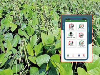 E-Peek Pera's mobile application hangs continuously; Lakhs of farmers deprived of registration | ई-पीक पेराचे मोबाइल ॲप्लिकेशन सतत हँग; लाखो शेतकरी नोंदीपासून वंचित