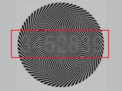 Optical Illusion : Mind boggling optical illusion no one has found another apart from 4528 this black and white circle | Optical Illusion : जीनिअस असाल तर शोधून दाखवा यातील नंबर, 7 सेकंदाची आहे वेळ!