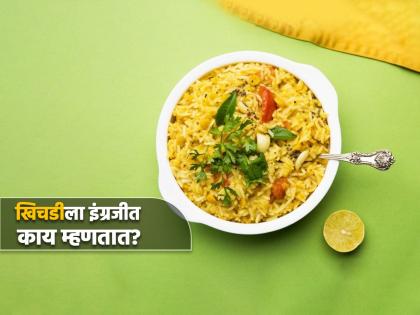 Do you know the English word for khichdi you will shock to know | खिचडीला इंग्रजीत काय म्हणतात? खातात सगळेच पण माहीत कुणालाच नसेल!