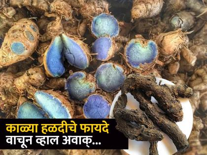 Black Turmeric : Amazing health benefits of black Turmeric | 'पी हळद अन् हो गोरी' ही म्हण ऐकली असेलच; पण काळ्या हळदीचे फायदे माहीत आहेत का?