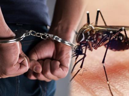 Mosquito blood killed at burgarly scene helped China police to find criminal | घरात चोरी झाल्यावर तपासासाठी पोहोचले पोलीस, एका डासामुळे पकडला गेला गुन्हेगार