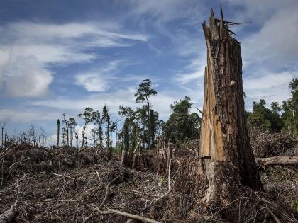 पृथ्वीच्या 'महाविनाशा'चा धोका टळला? शास्त्रज्ञांचा नवीन अभ्यास समोर आला... - Marathi News | Mass Extinction of Earth: Has the threat of Earth's 'mass extinction' been averted? A new study by scientists has come to light... | Latest environment News at Lokmat.com पृथ्वीच्या 'महाविनाशा'चा धोका टळला? शास्त्रज्ञांचा नवीन अभ्यास समोर आला... - Marathi News | Mass Extinction of Earth: Has the threat of Earth's 'mass extinction' been averted? A new study by scientists has come to light... | Latest environment News at Lokmat.com