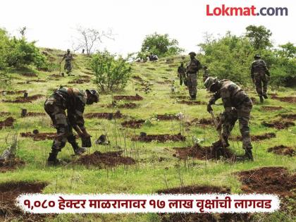 Forest Department and Eco Battalion create a paradise on 1,080 hectares of barren grasslands | वन विभाग व इको बटालियनने १,०८० हेक्टरवरील ओसाड माळरानावर फुलवले नंदनवन