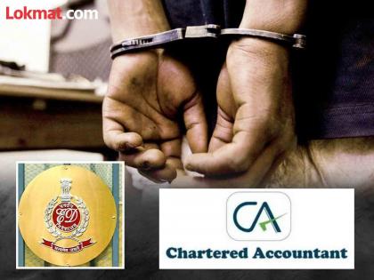 640 crore cyber scam: ED arrests three including two chartered accountants, what is the case? | 640 कोटींचा सायबर घोटाळा: ईडीने दोन चार्टर्ड अकाउंटण्टसह तिघांना केली अटक, प्रकरण काय?