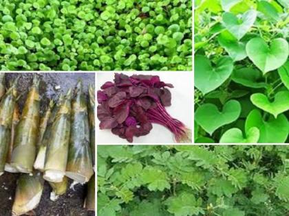 Eat wild vegetables and stay super healthy! | बोपली, तरोटा, गुळवेलची भाजी तुम्ही कधी खाल्ली का?