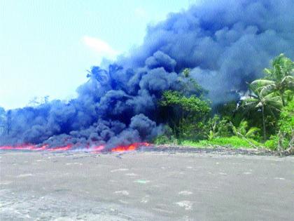 fire in Edvan beach | एडवण किनाऱ्यावर भीषण आग, नागरी वस्ती बचावली