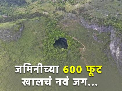 Giant sinkhole ancient forest world found in china 600 feet below unesco global geopark | जमिनीच्या 600 फूट खाली सापडली प्राचीन झाडे, फोटो बघून व्हाल अवाक्...