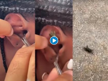 Crab stuck in woman's ear while snorkeling watch shocking video | VIDEO : महिलेच्या कानात शिरला जिवंत खेकडा, समुद्रात घेत होती स्वीमिंगचा आनंद आणि मग...