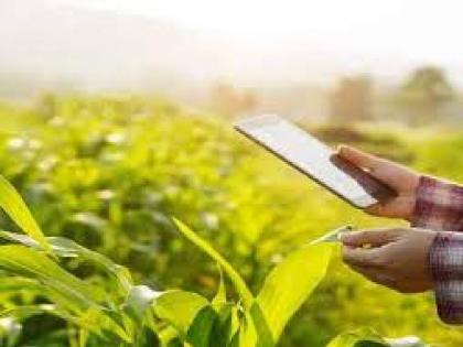 5 lakh farmers in Jalgaon district still have no records of crop sowing Deadline for e-Peak inspection is 15th September | जळगाव जिल्ह्यात ५ लाख शेतकऱ्यांची अद्यापही पीक पेऱ्याची नोंदच नाही; ई-पीक पाहणीसाठी १५ सप्टेंबरपर्यंत मुदत  