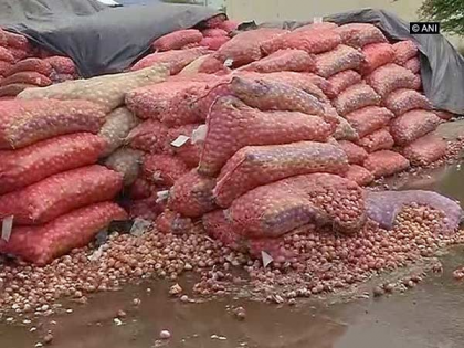 Kangawa and conspiracy behind onion export ban; Farmers' Union Accused | कांदा निर्यातबंदी मागे कांगावा आणि षडयंत्र; शेतकरी संघटनांनी केला आरोप 