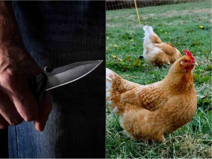 Which came first the chicken or the egg? friend stabbing 15 times in Indonesia | आधी कोंबडी आली की अंडे? उत्तर दिलं नाही म्हणून एका मित्राने दुसऱ्यावर चाकूने केले वार....