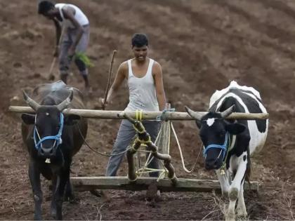 Now it seems that the Kharif season is on the verge of danger. | खरीप धोक्याच्या वाटेवर!