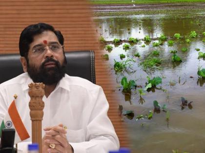 Maharashtra CM Eknath Shinde declared that Farmers affected by heavy rains or flood will also get the benefit of incentive subsidy scheme | CM Eknath Shinde, Maharashtra Farmers: अतिवृष्टीग्रस्त शेतकऱ्यांनाही मिळणार प्रोत्साहनपर अनुदान योजनेचा लाभ