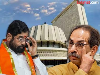 "एकनाथ शिंदेंनी हुल दिली अन् उद्धव ठाकरे..."; विधान परिषदेवरुन ज्योती वाघमारेंनी उडवली खिल्ली - Marathi News | Uddhav Thackeray Lost Courage Due to Eknath Shinde Strategy MP Jyoti Waghmare | Latest News at Lokmat.com
