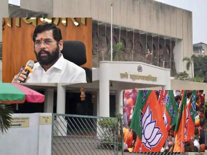 Eknath Shinde Supporters confusion about opposition Shiv Sena or NCP | कमळ फुलले तरच कार्यकर्त्यांना आनंद, सत्तेचा छोटा वाटा नको, विरोधक शिवसेना की राष्ट्रवादी, याबाबत गोंधळ