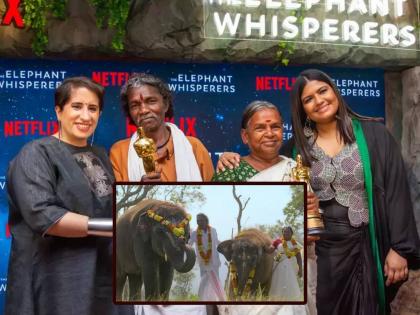 The Elephant Whisperers couple didn't get paid after oscar makers ignored them | 'द एलिफंट व्हिस्परर्स' मधील जोडप्याला पैसेच मिळाले नाहीत, म्हणाले, 'ऑस्करनंतर मेकर्सचं वागणं...'