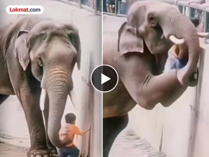 Video: A child accidentally fell into an elephant's cage; elephant save his life, video viral | Video: हृदयस्पर्शी! हत्तीच्या पिंजऱ्यात पडला चिमुकला; गजराजाने जे केले त्यानं सर्वांचीच मने जिंकली