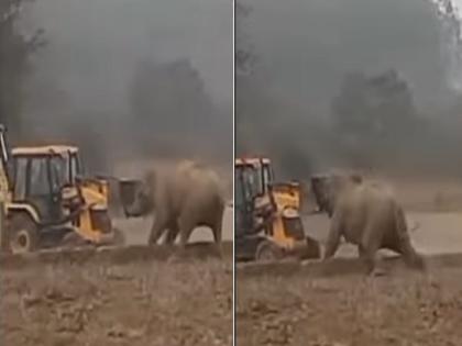 elephant attack on JCB, video goes viral, Watch the thrilling video | JCBपाहून बिथरला हत्ती, अचानक केला हल्ला; पाहा थरारक व्हिडिओ