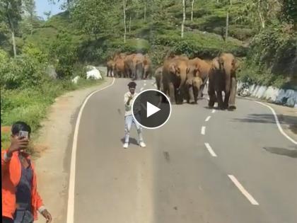 young boys were taking selfie in front of elephants group shocking incident happened video goes viral on internet | हत्तींच्या कळपासमोर घेत होते सेल्फी, संतापलेल्या हत्तींनी घेतला असा बदला की...