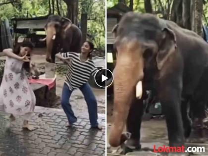 Elephant doing Bharatnatyam with girls watch adorable viral video | समोर तरूणी करत होत्या भरतनाट्यम, मागे हत्तीनेही धरला ठेका; व्हिडीओ बघून व्हाल अवाक्!