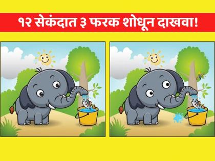 Optical illusion : Genius can spot the 3 Differences in this Elephant Image in 12 Secs | जीनिअस असाल तर शोधून दाखवा फोटोतील फरक, १२ सेकंदाची आहे वेळ!