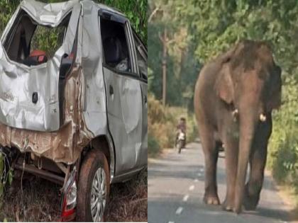 The car was smashed by a tusker elephant, Incidents of Ajara Kolhapur district | कोल्हापूर: 'टस्कर' कडून कारचा चक्काचूर, परिसरात भीतीचे वातावरण; आजऱ्यातील घटना