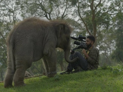 The Elephant Whisperers short film won first oscar for India know more about the film | भारताला पहिला ऑस्कर मिळवून देणाऱ्या 'द एलिफंट व्हिस्परर्स'चे खरे हिरो कोण? हत्तींना जीव लावणाऱ्या जोडप्याची कहाणी