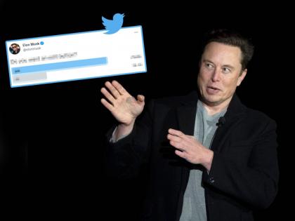 elon musk poll asks do you want an edit button after becoming largest shareholder in twitter | मोठ्या बदलाचे संकेत? Elon Musk यांच्या ट्विटर पोलला तब्बल १६ लाख मते; जगभरात चर्चा