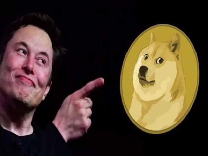 Elon Musk Dogecoin :Dogecoin Logo Blows Elon Musk; 1.30 lakh crore sunk in just four days | श्वानाच्या लोगोमुळे Elon Musk यांना मोठा झटका; अवघ्या चार दिवसांत 1.30 लाख कोटी बुडाले